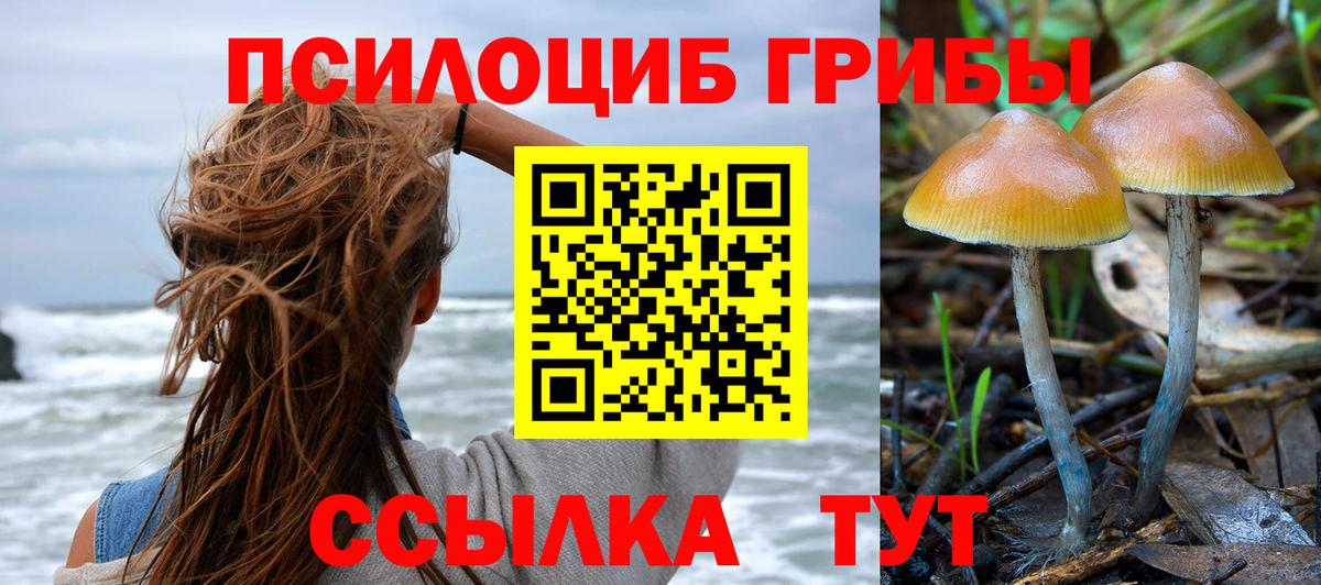Галлюциногенные грибы Magic Shrooms  Вход с VPN  Углич  Галлюциногенные грибы ЛСД 